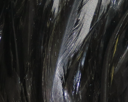 Hareline Wooly Bugger Saddle Hackle Black