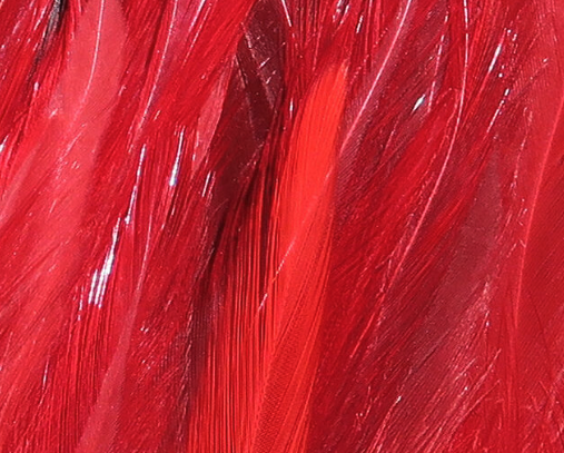Hareline Wooly Bugger Saddle Hackle Blood Red