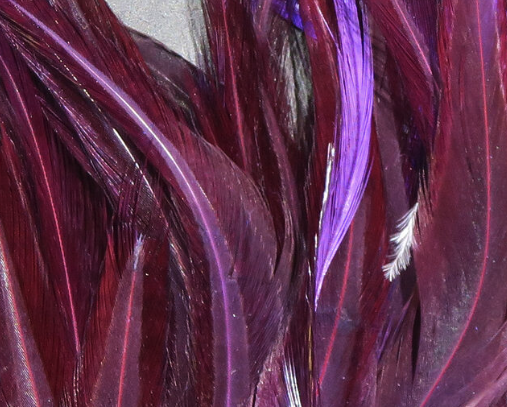 Hareline Wooly Bugger Saddle Hackle Purple