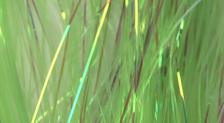 Flashabou Is One Of The Best Fly Tying Materials To Add Flash And Movement To All Kinds Of Streamers And Nymphs