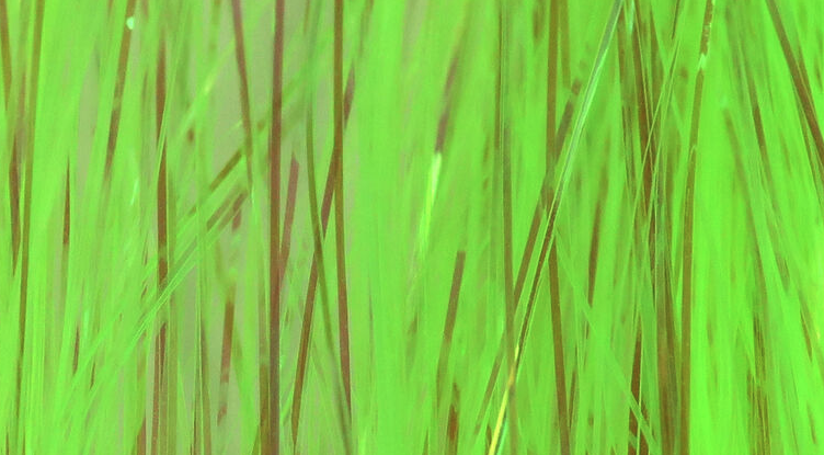 Flashabou Is One Of The Best Fly Tying Materials To Add Flash And Movement To All Kinds Of Streamers And Nymphs