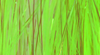 Flashabou Is One Of The Best Fly Tying Materials To Add Flash And Movement To All Kinds Of Streamers And Nymphs
