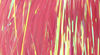 Flashabou Is One Of The Best Fly Tying Materials To Add Flash And Movement To All Kinds Of Streamers And Nymphs