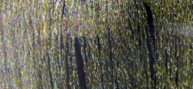 Flashabou Weave Adds More Color And Flash To Your Saltwater Flies And Freshwater Flies