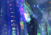 Lateral Scale Dark Blue Pearl