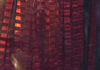 Lateral Scale Red Solid