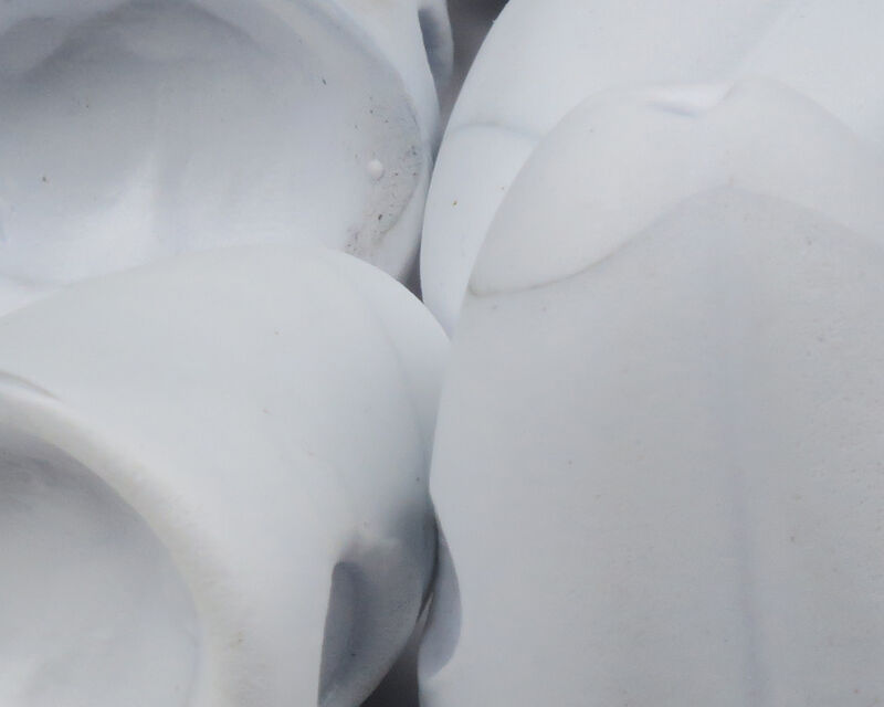 White style of the  Flymen Fishing Surface Seducer Double Barrel Popper Bodies