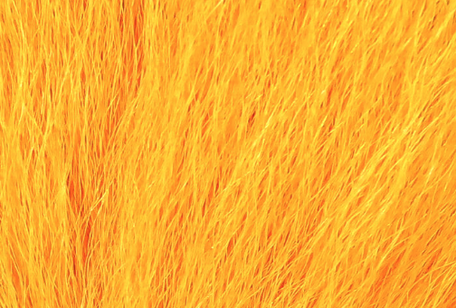 Hareline Pastel Northern Bucktail Orange