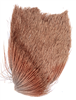 Antelope hair for fly tying