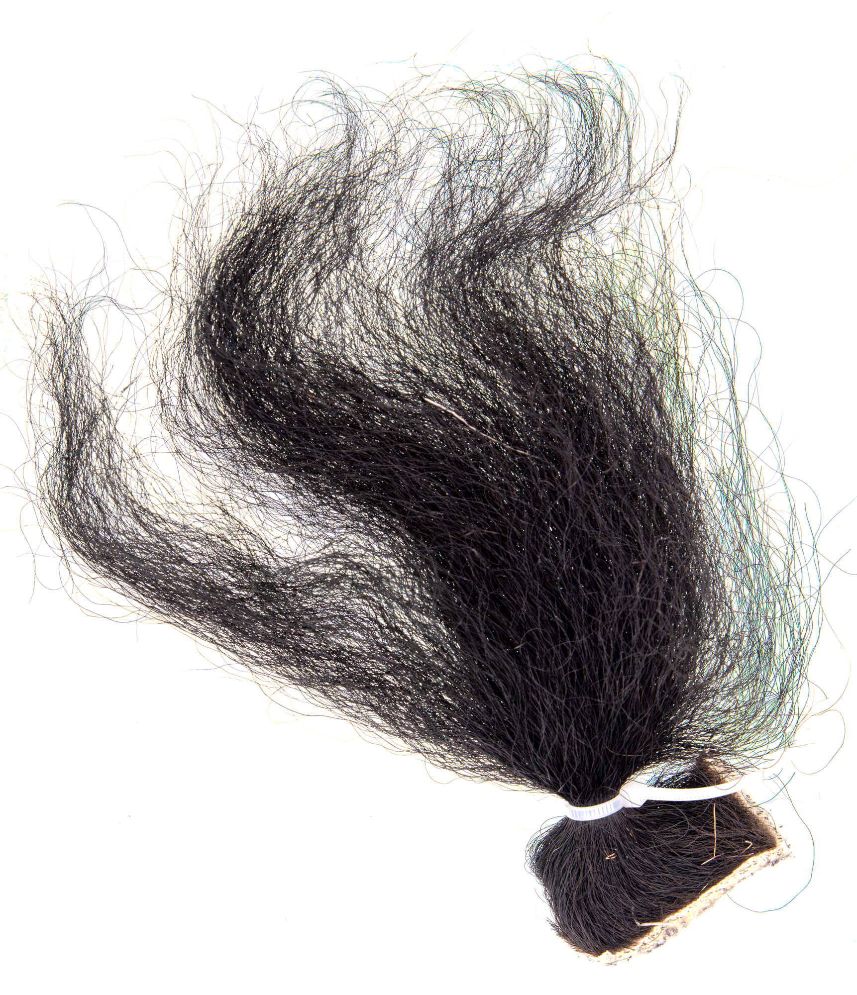 Buffalo Neck Hair for fly tying