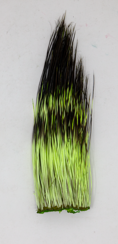 Patch of peccary hair that has been dyed UV Caddis Green