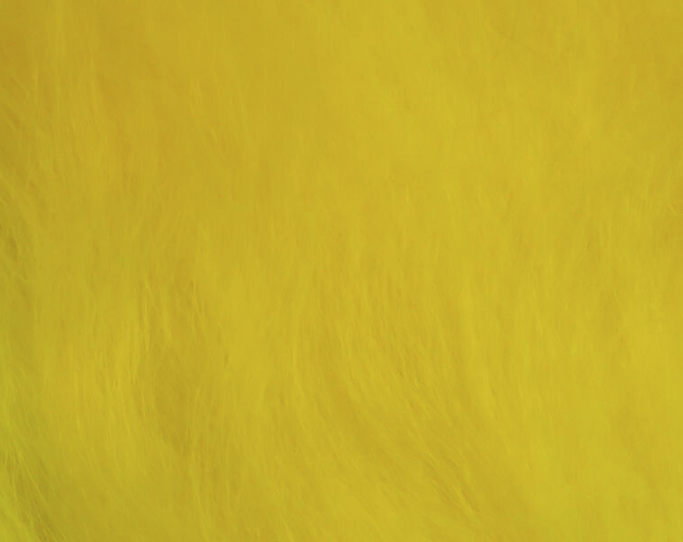 Icelandic Sheep Hair Fl Yellow