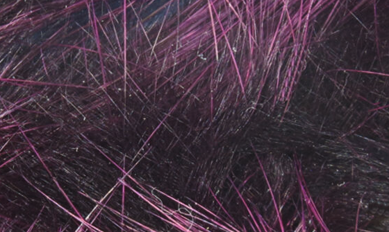 Rabbit Strips Frostip Magnum Black Fuchsia