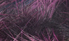 Rabbit Strips Frostip Magnum Black Fuchsia