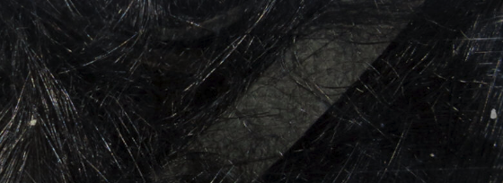 Hareline Rabbit Strips Micro Black