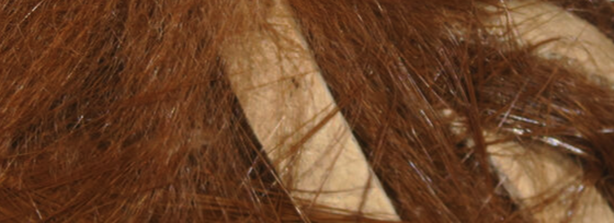 Hareline Rabbit Strips Micro Brown