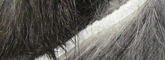 Precision-cut rabbit strip for crafting detailed streamer patterns