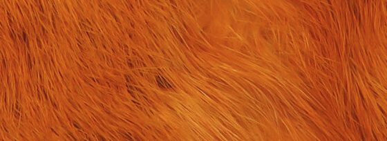 The best rabbit strips for crafting durable saltwater flies