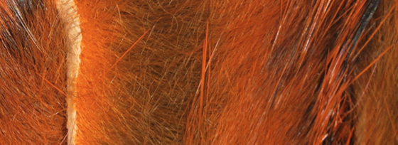 Hareline Rabbit Strips Crawfish Orange