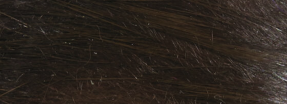 Hareline Rabbit Strips Dark Brown