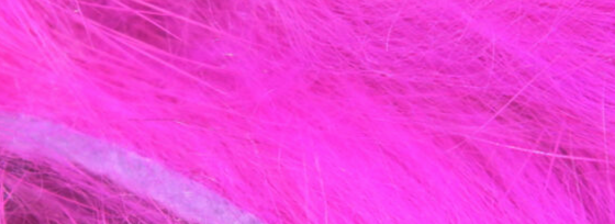 Wide rabbit strips designed for tying predator-targeting fly patterns