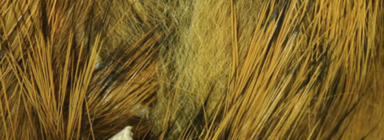 Hareline Rabbit Strips Micro Gold Variant