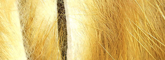 Zonker-cut rabbit strips for creating lifelike bass and predator flies