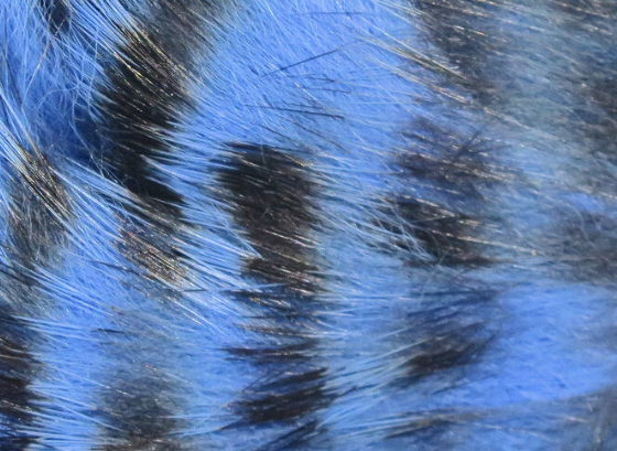 Hareline Rabbit Strips Barred Black Baby Blue