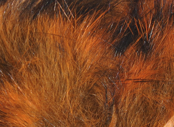 Hareline Rabbit Strips Barred Black Crayfish Orange