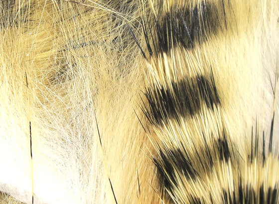 Hareline Magnum Rabbit Strips Barred Black Light Brown