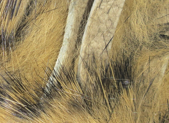 Hareline Rabbit Strips Barred Black Tan