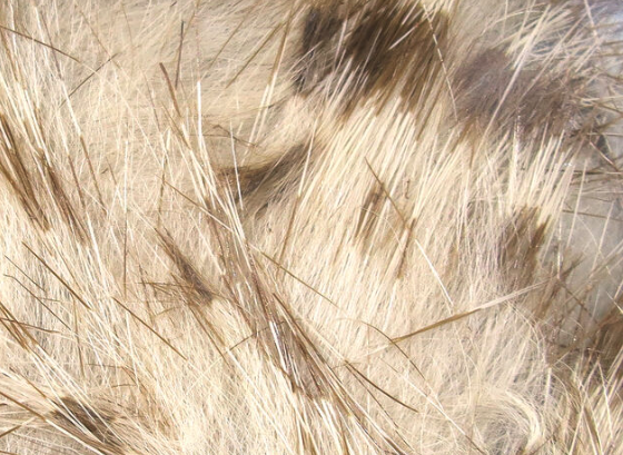 Hareline Rabbit Strips Barred Brown Flesh