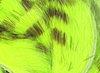 Hareline Magnum Rabbit Strips Barred Olive Chartreuse