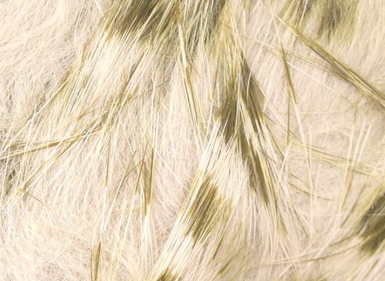 Hareline Magnum Rabbit Strips Barred Olive Flesh