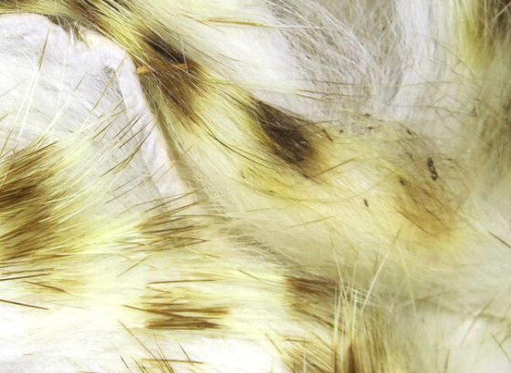 Hareline Magnum Rabbit Strips Barred Olive White