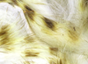 Hareline Magnum Rabbit Strips Barred Olive White