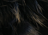 Hareline Shimmer Rabbit Strips Black With Gold Shimmer