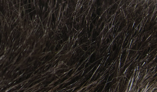 Hareline Snowshoe Rabbit Feet Dark Dun