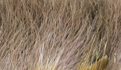 Hareline Snowshoe Rabbit Feet Medium Dun