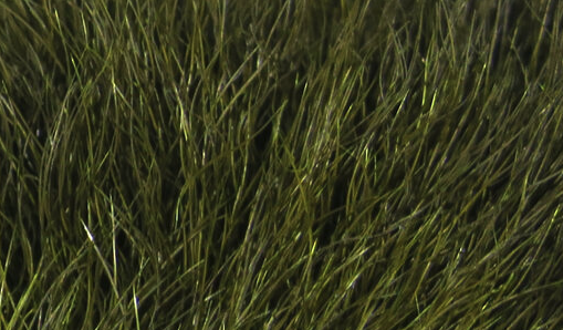 Hareline Snowshoe Rabbit Feet Olive