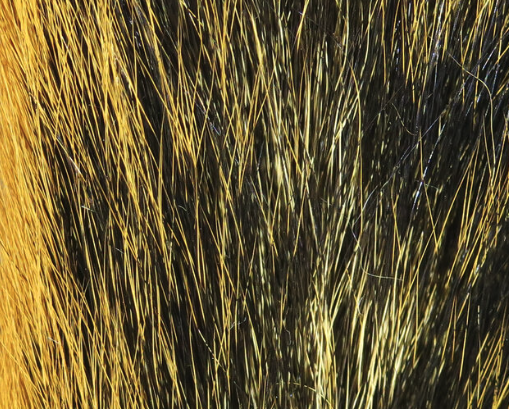 Squirrel Tails Fox Squirrel Natural