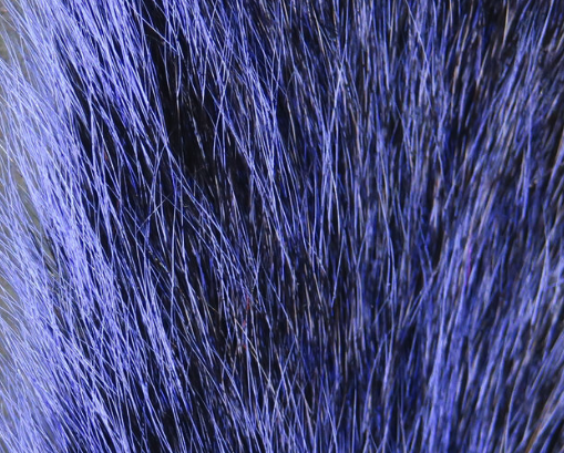 Squirrel Tails Purple