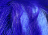 Hareline Rabbit Two Tone Crosscut Strips Bright Purple Baby Blue