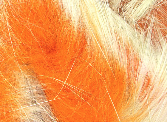 Hareline Rabbit Two-Toned Rabbit Strips White Tipped Hot Orange