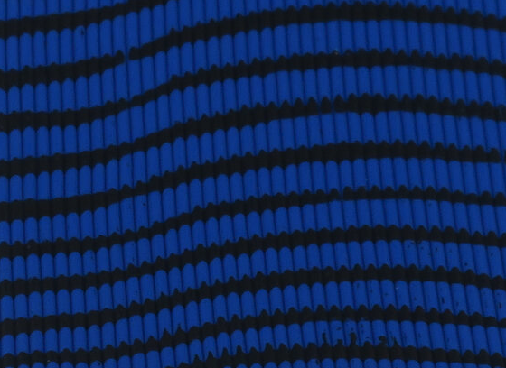 Hareline Tarantu-Leggs Blue Black Barred