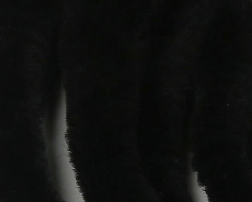 Mangum's UV2 Dragon Tail Mini Black