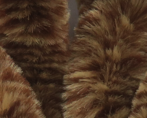 Mangum's Variegated Mini Dragon Tail Brown Tan