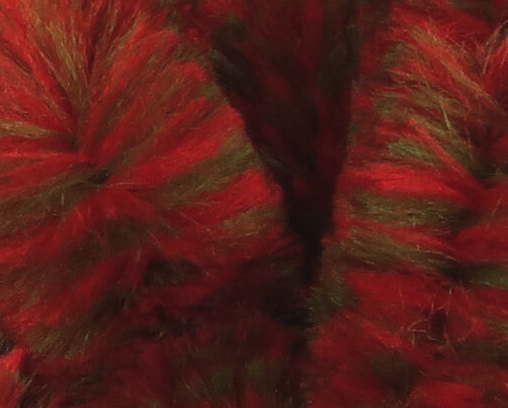 Mangum's Variegated Mini Dragon Tail Olive Red