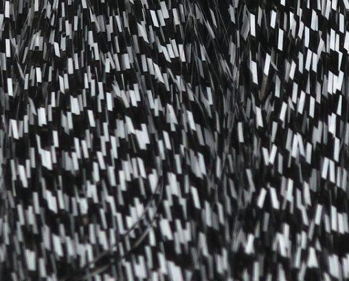 Micro Barred Voodoo Fibers Black Barred White