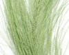 Hareline Hackle Hair Fly Tying Material Olive